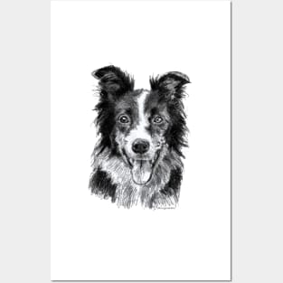 Border collie Posters and Art